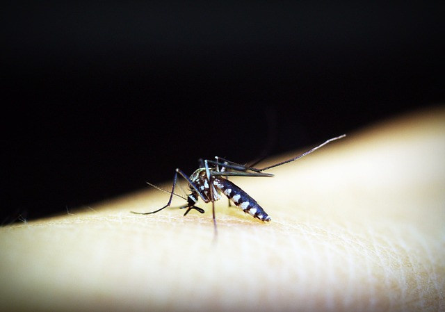 Protect yourself from Dengue